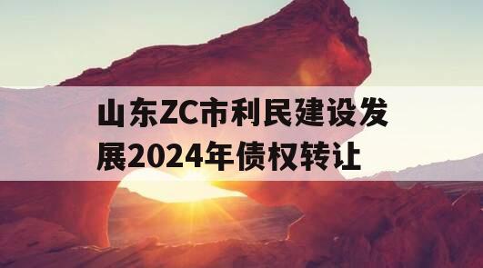 山东ZC市利民建设发展2024年债权转让
