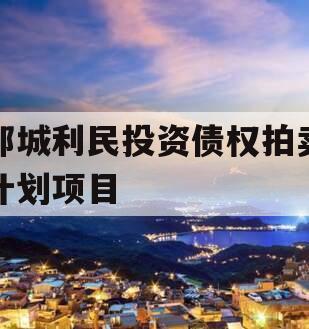 邹城利民投资债权拍卖计划项目