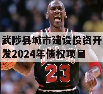 武陟县城市建设投资开发2024年债权项目