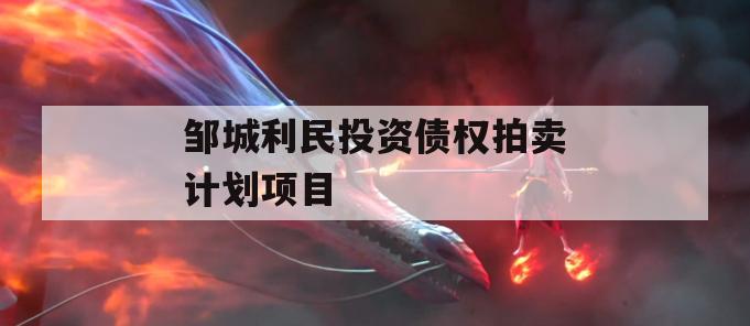 邹城利民投资债权拍卖计划项目
