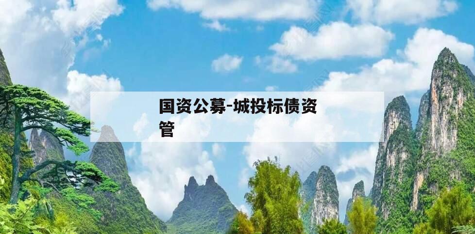国资公募-城投标债资管
