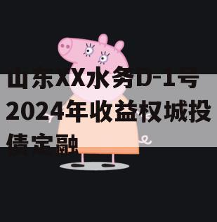 山东XX水务D-1号2024年收益权城投债定融