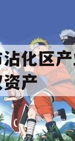 滨州市沾化区产业园建设债权资产