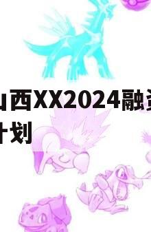 山西XX2024融资计划