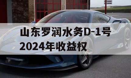 山东罗润水务D-1号2024年收益权