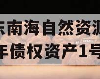 山东南海自然资源2024年债权资产1号