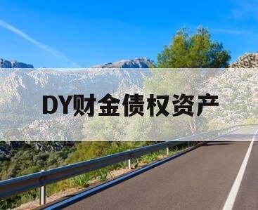 DY财金债权资产