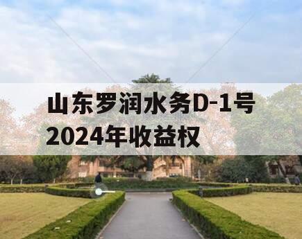山东罗润水务D-1号2024年收益权