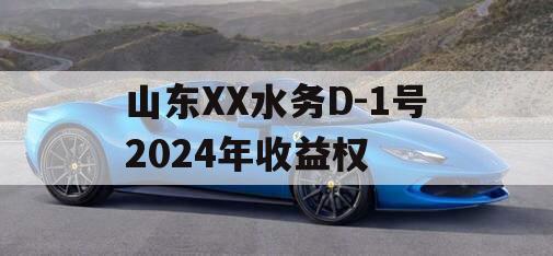 山东XX水务D-1号2024年收益权