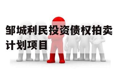 邹城利民投资债权拍卖计划项目