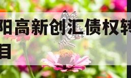 洛阳高新创汇债权转让项目