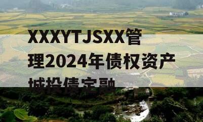 XXXYTJSXX管理2024年债权资产城投债定融