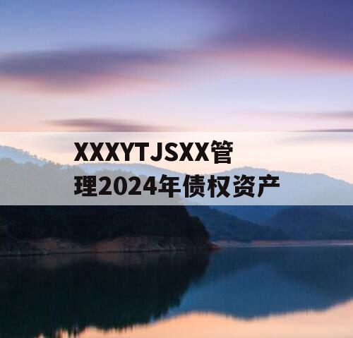 XXXYTJSXX管理2024年债权资产