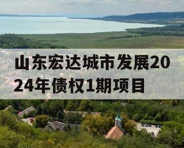 山东宏达城市发展2024年债权1期项目