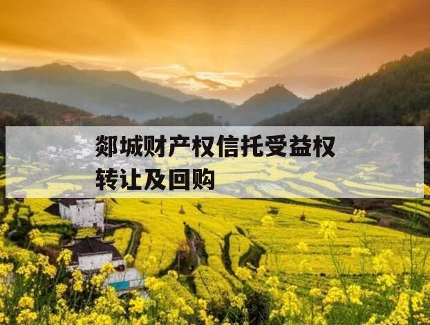 郯城财产权信托受益权转让及回购