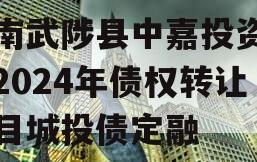 河南武陟县中嘉投资运营2024年债权转让项目城投债定融