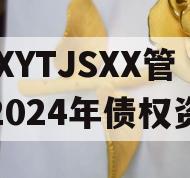 XXXYTJSXX管理2024年债权资产