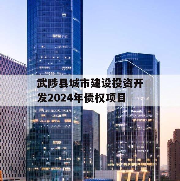 武陟县城市建设投资开发2024年债权项目
