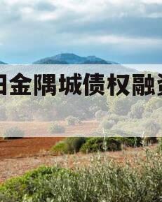 洛阳金隅城债权融资计划
