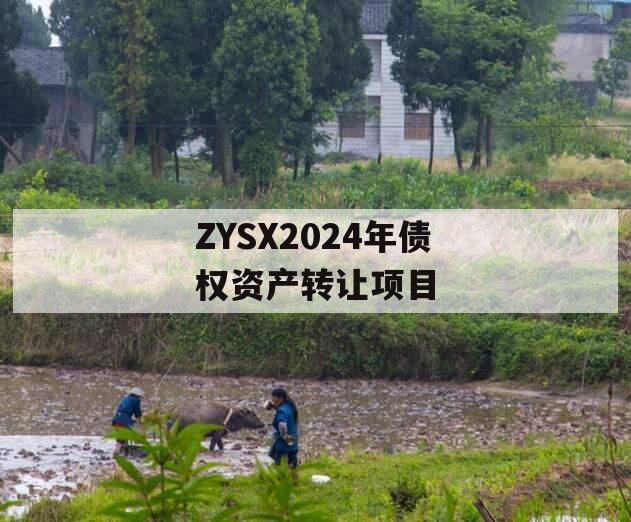 ZYSX2024年债权资产转让项目