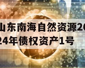 山东南海自然资源2024年债权资产1号