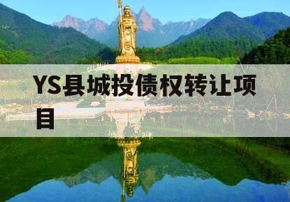 YS县城投债权转让项目