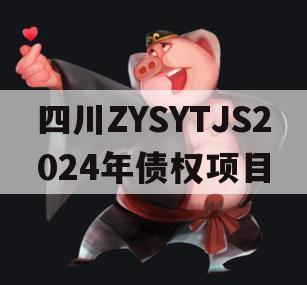 四川ZYSYTJS2024年债权项目