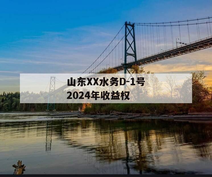 山东XX水务D-1号2024年收益权