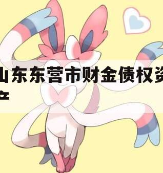 山东东营市财金债权资产