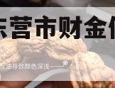 山东东营市财金债权资产