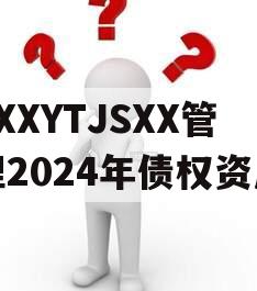 XXXYTJSXX管理2024年债权资产