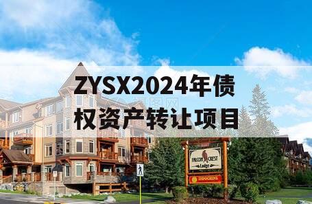 ZYSX2024年债权资产转让项目