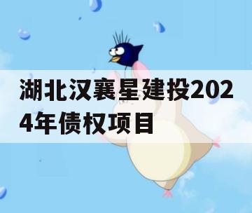 湖北汉襄星建投2024年债权项目