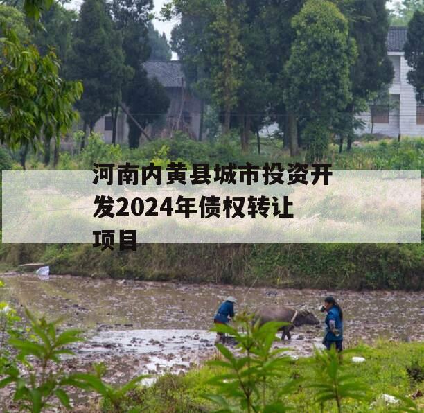 河南内黄县城市投资开发2024年债权转让项目