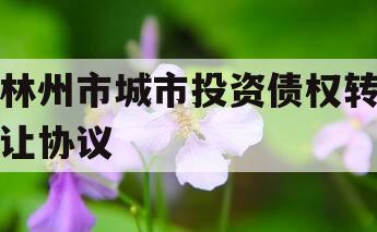 林州市城市投资债权转让协议