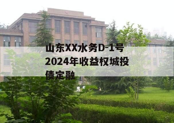 山东XX水务D-1号2024年收益权城投债定融
