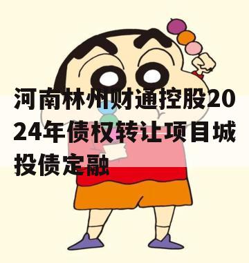 河南林州财通控股2024年债权转让项目城投债定融