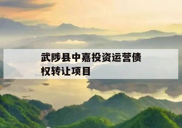 武陟县中嘉投资运营债权转让项目