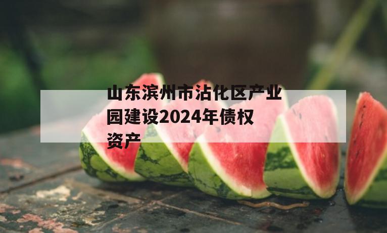 山东滨州市沾化区产业园建设2024年债权资产