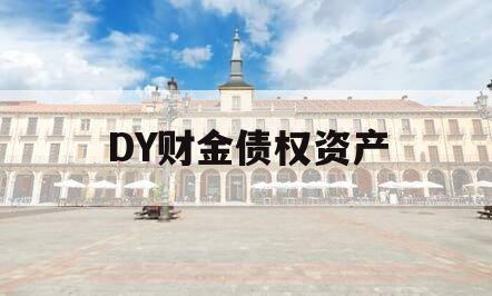 DY财金债权资产