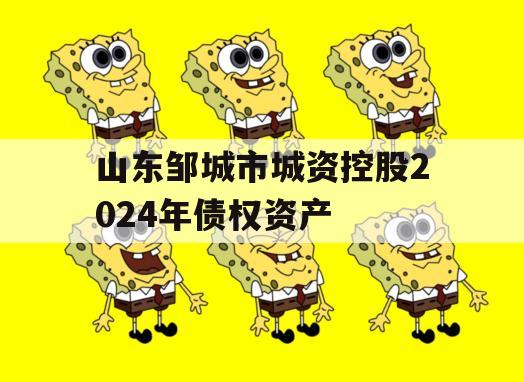 山东邹城市城资控股2024年债权资产