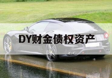DY财金债权资产