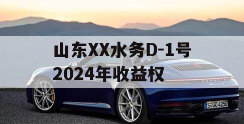 山东XX水务D-1号2024年收益权