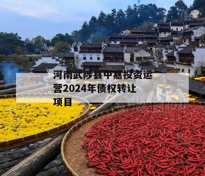 河南武陟县中嘉投资运营2024年债权转让项目