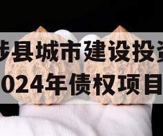 武陟县城市建设投资开发2024年债权项目