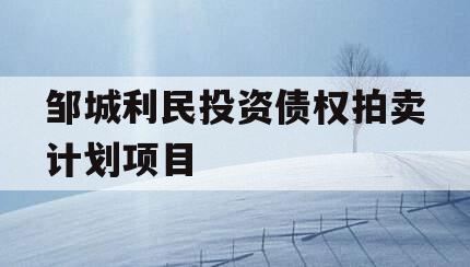 邹城利民投资债权拍卖计划项目