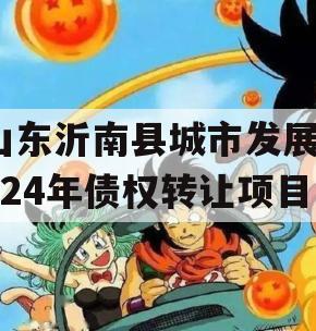 山东沂南县城市发展2024年债权转让项目