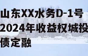山东XX水务D-1号2024年收益权城投债定融
