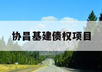 协昌基建债权项目