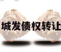 汤阴城发债权转让项目